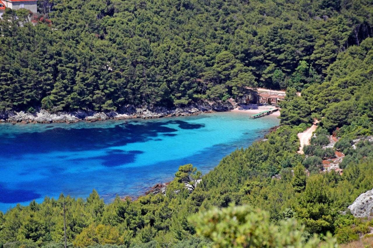 Apartments By The Sea Luka Dubrava, Peljesac - 4568 Janjina Экстерьер фото